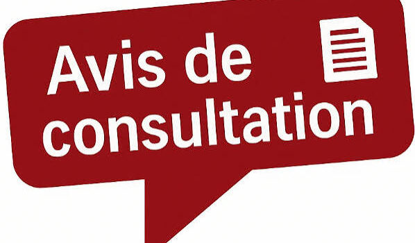 Avis de consultation au profit de la Faculté des Langues Étrangères
